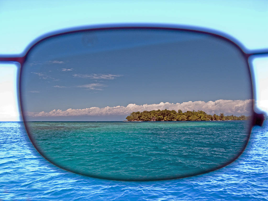 Digital Progressive- Polarized Brown